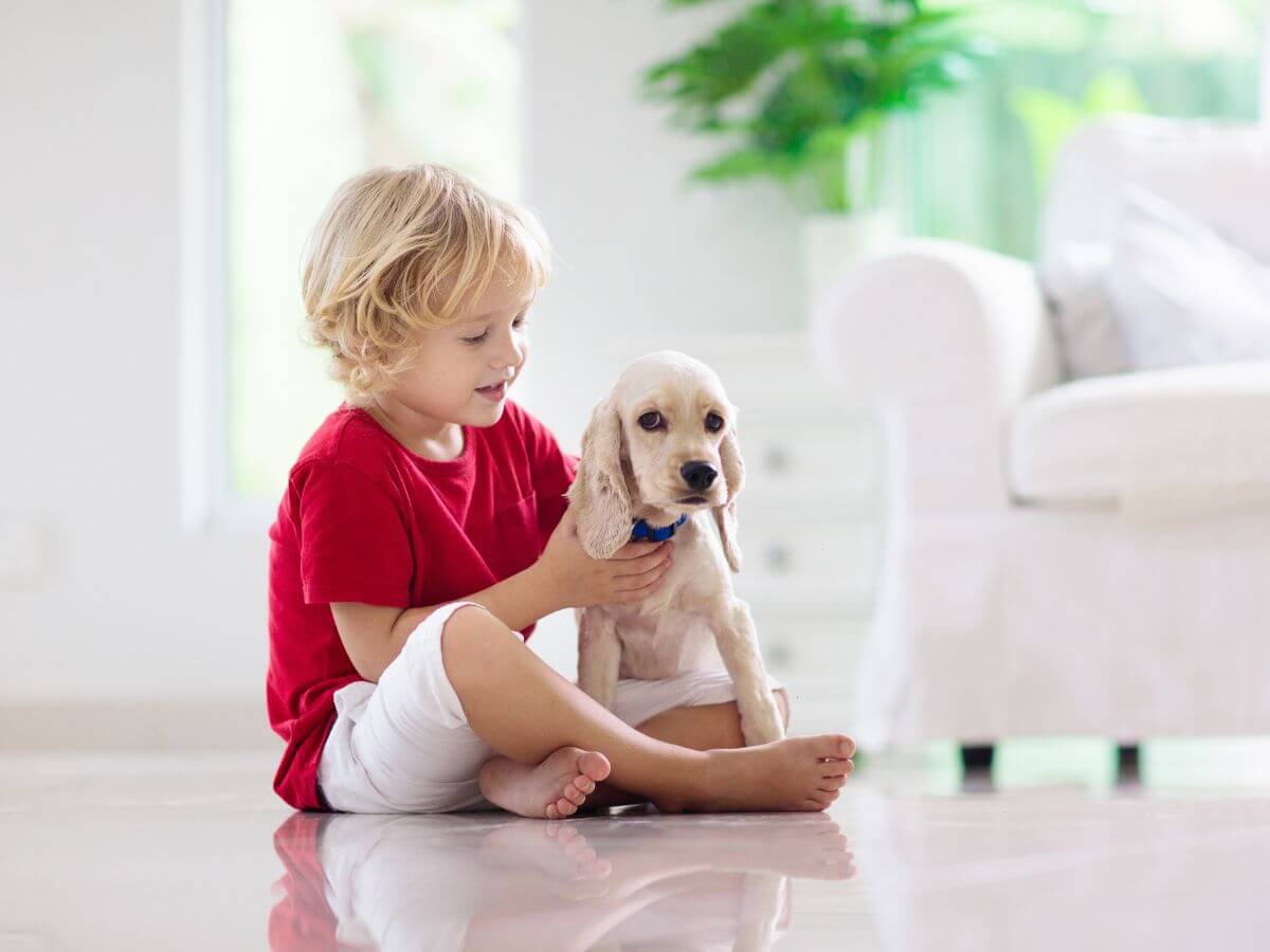 4 Best Pet and Child Safe Window Treatments For Your Home Pet and Child Safe Window Treatments