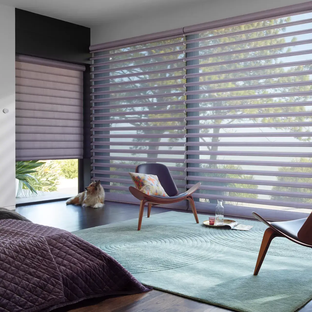 The Window Design Studio | Protect Your Home from Harmful UV Rays with Window Films: A Guide for San Francisco Residents
